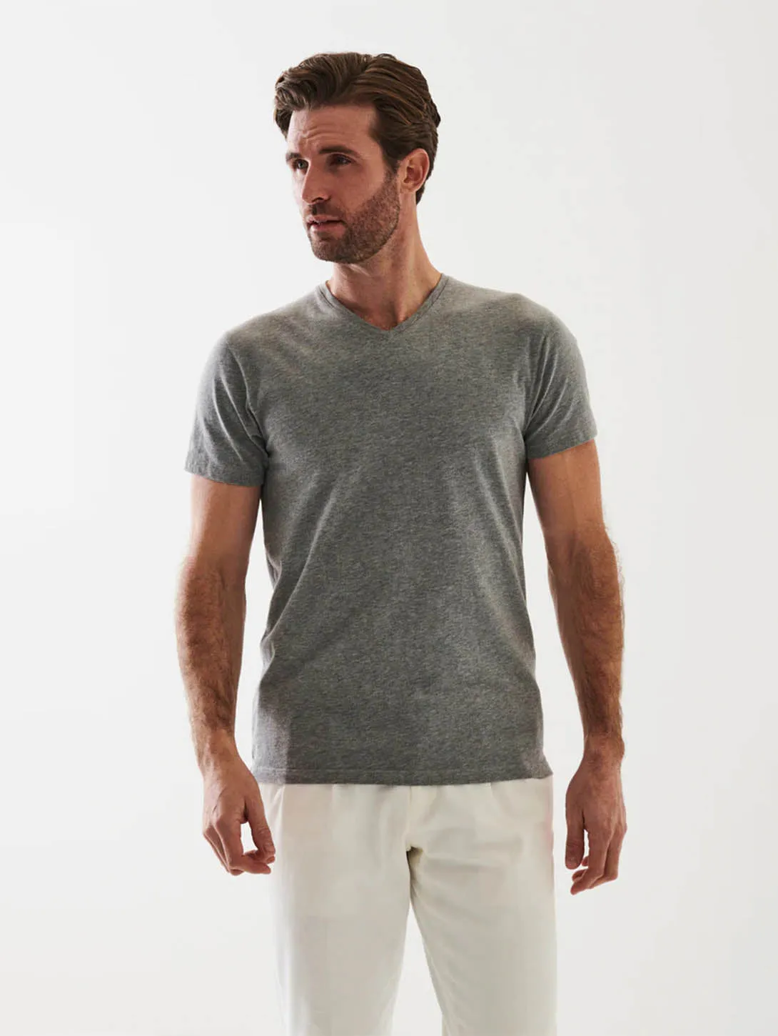 Iconic Pima Stretch V-Neck T-Shirt